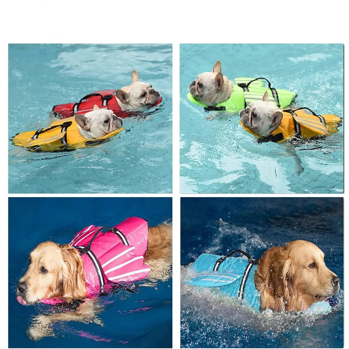 Adjustable Dog Life Jacket with Chin Float & Rescue Handle