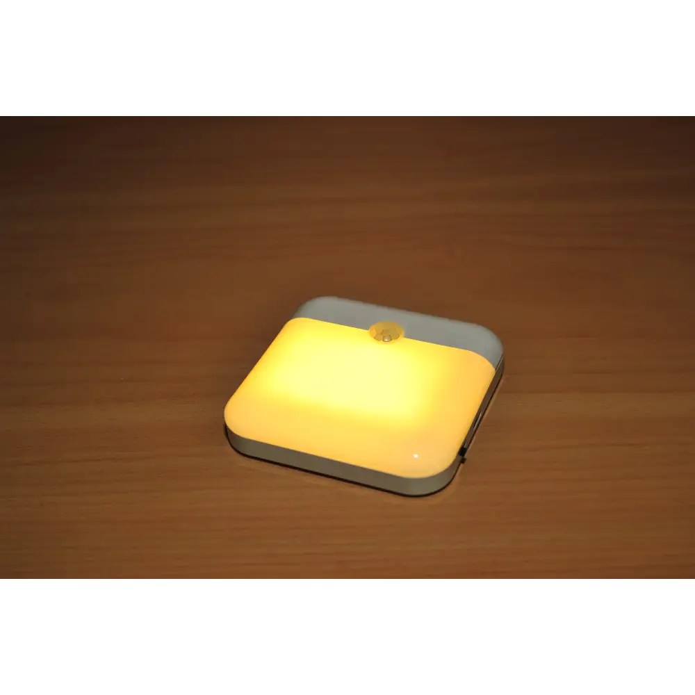 Xiamen LED Wireless Motion Sensor Light