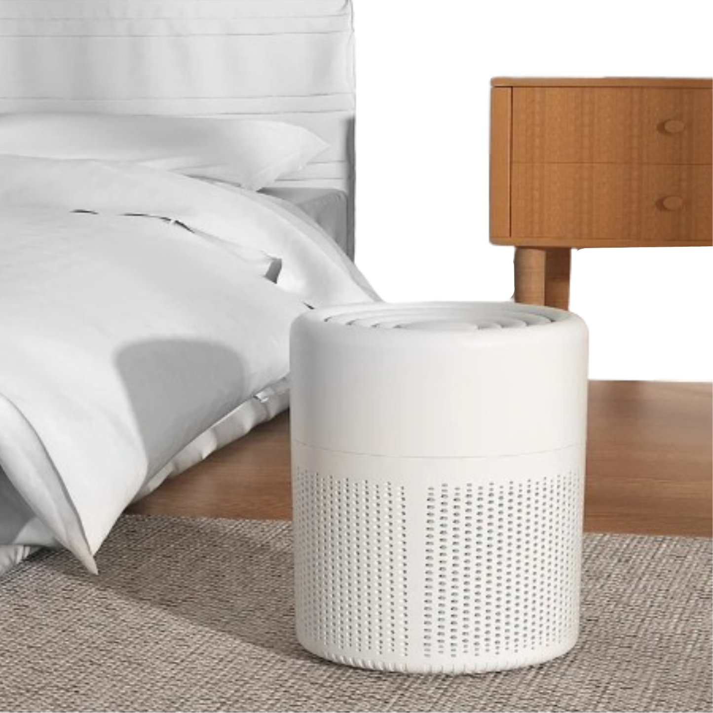 Portable Air Purifier – Blue Anion Deodorizer with Essential Oil Diffuser