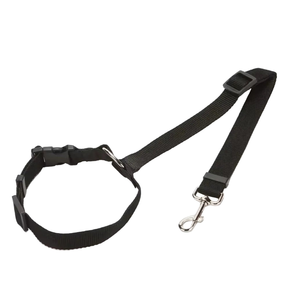 Vehcile Belt & Adjustable Nylon Leash for Dogs (7 colors available)