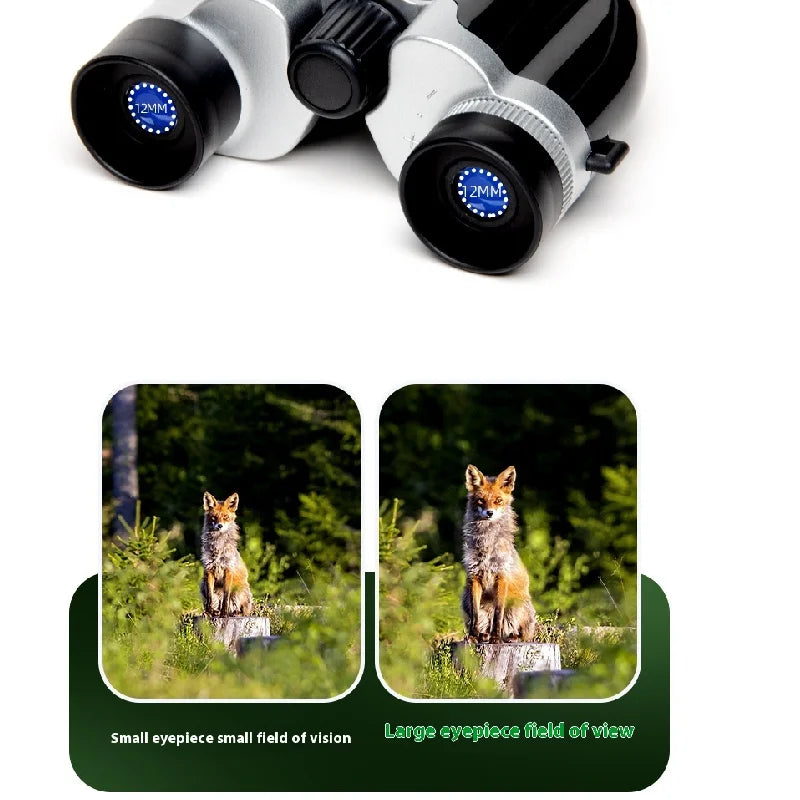 Foldable Compact Binoculars (10x22)