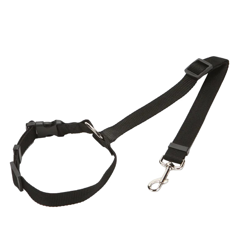Vehcile Belt & Adjustable Nylon Leash for Dogs (7 colors available)