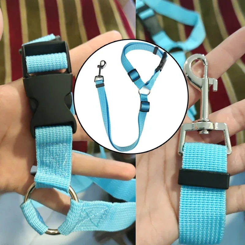 Vehcile Belt & Adjustable Nylon Leash for Dogs (7 colors available)