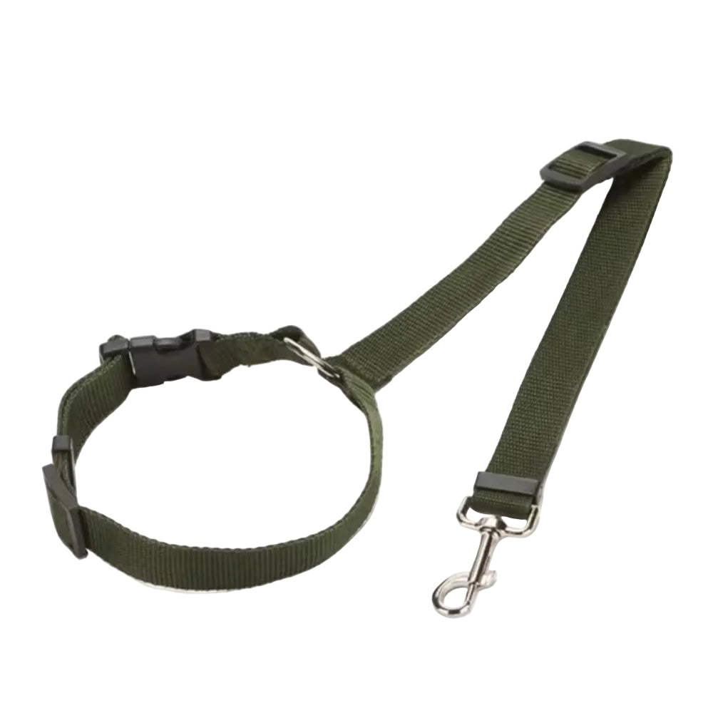 Vehcile Belt & Adjustable Nylon Leash for Dogs (7 colors available)