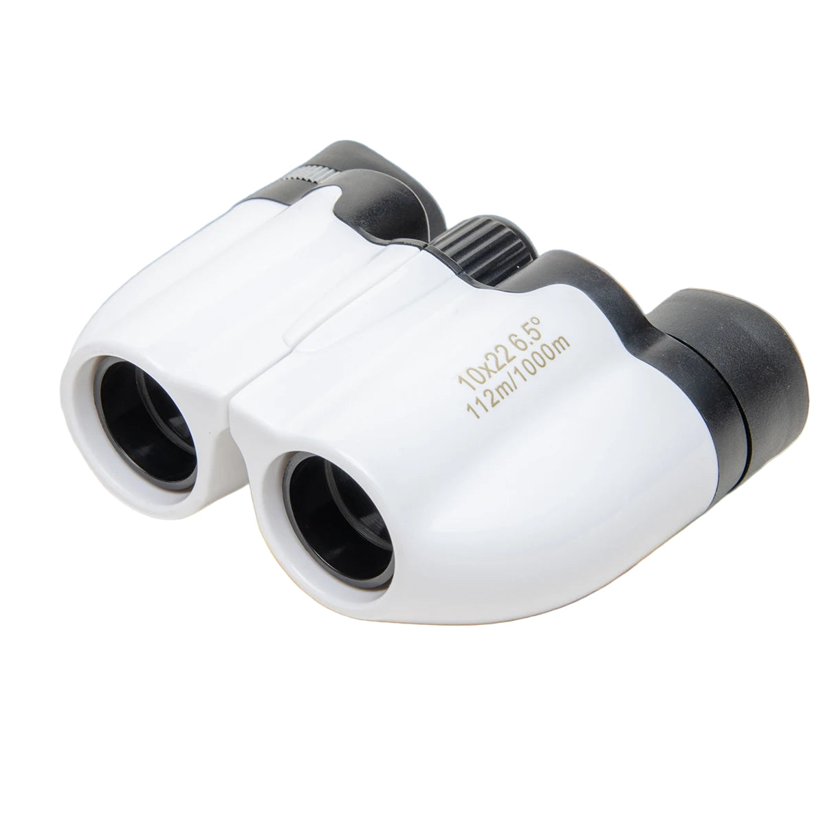 Foldable Compact Binoculars (10x22)