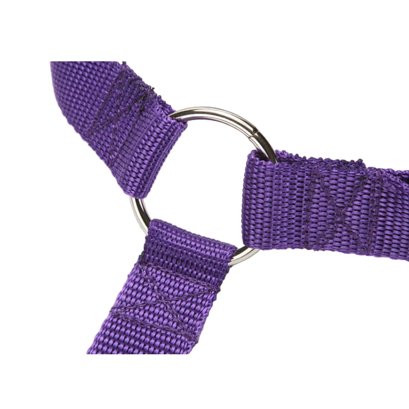 Vehcile Belt & Adjustable Nylon Leash for Dogs (7 colors available)