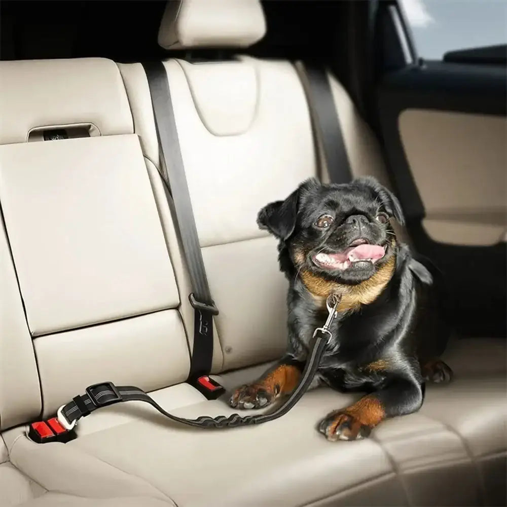 Adjustable Vehicle Harness for Dogs (available in different colors) - SS