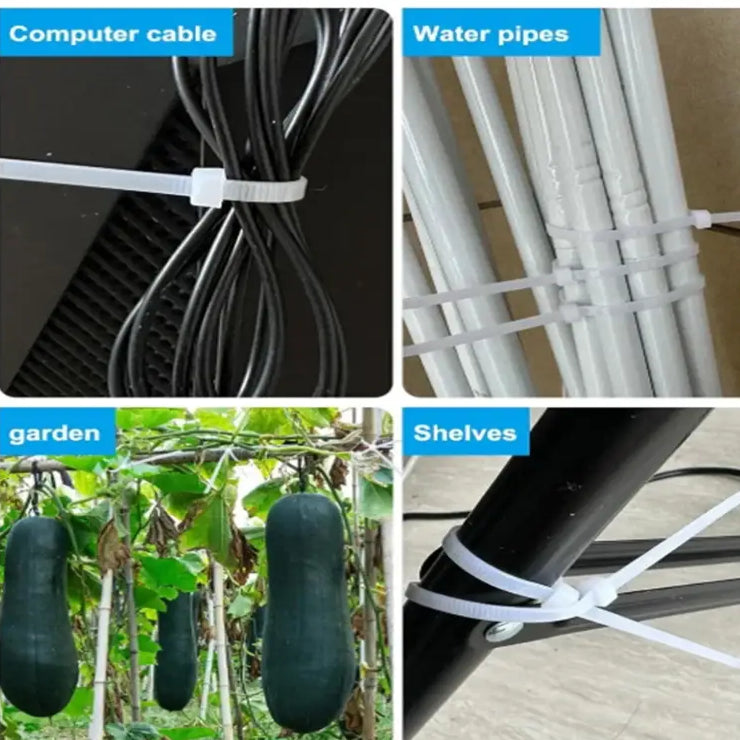 National Standard White PA66 Nylon Cable Ties 3x100 3x150 4x200 5x250mm Self Lock Wire Fastening Zip Tie
