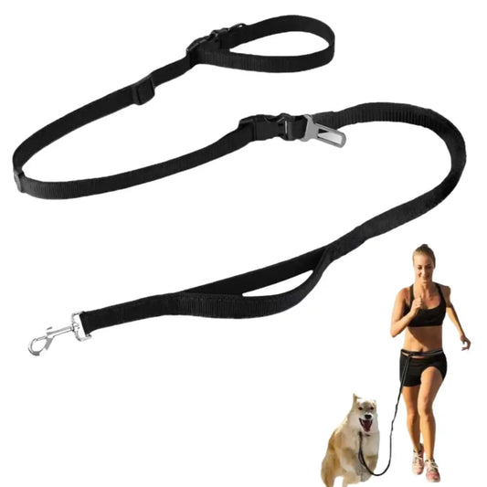 Nylon Hands-Free Dog Leash (2.5×250cm) - Black / 2.5X250cm - SS