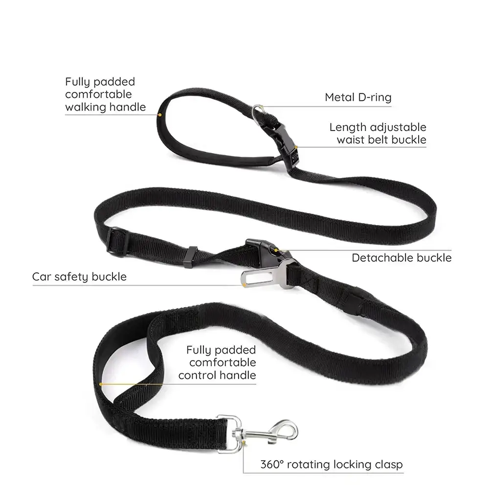 Nylon Hands-Free Dog Leash (2.5×250cm) - Black / 2.5X250cm - SS