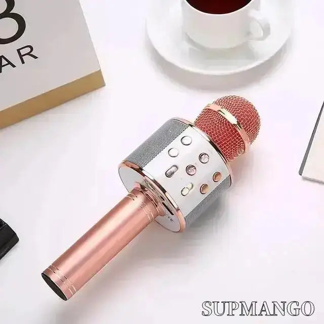 Professional Wireless Handheld Karaoke Microphone with USB Speaker for Kids and Music Recording - Pink