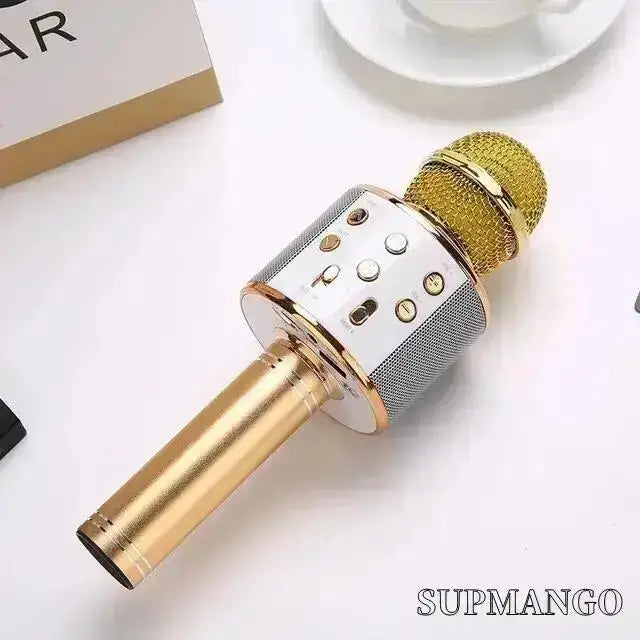 Professional Wireless Handheld Karaoke Microphone with USB Speaker for Kids and Music Recording - Golden