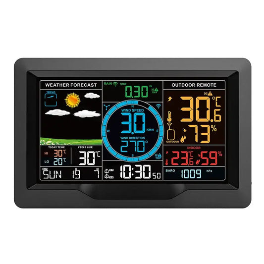 Professional Wireless Weather Station with Wind & Rain Sensors - HBC