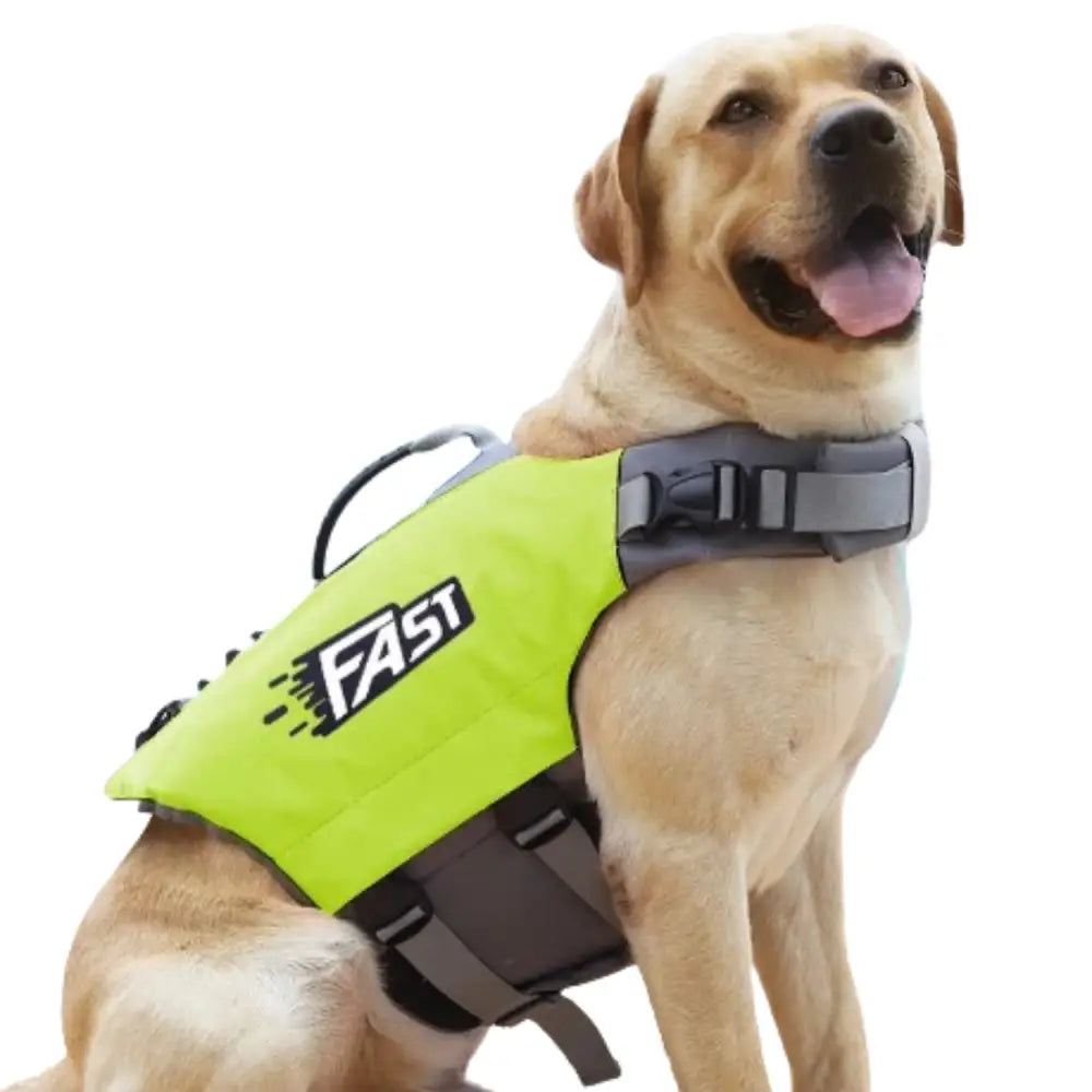 Reflective Dog Life Jacket – Adjustable Summer Swimming Vest - Green / Small - SS