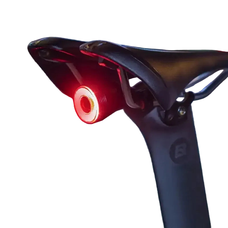 ROCKBROS Smart Bicycle Rear Light Auto Brake Sensing IPX6 Waterproof Cycling Tail Lamp LED USB Charging Safety Bike