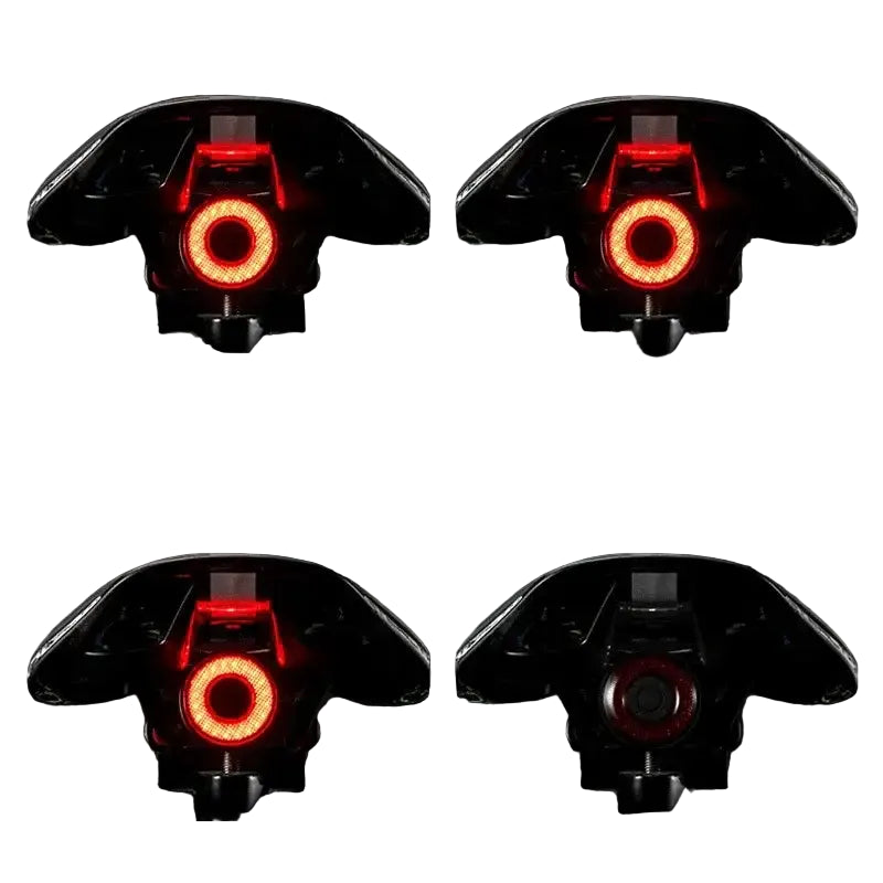 ROCKBROS Smart Bicycle Rear Light Auto Brake Sensing IPX6 Waterproof Cycling Tail Lamp LED USB Charging Safety Bike