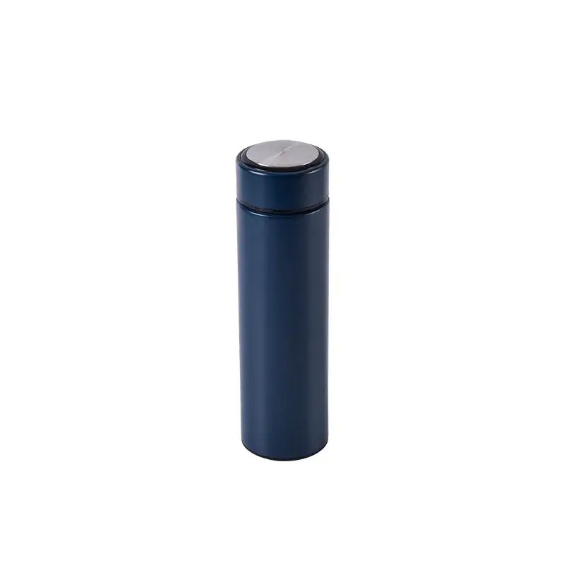 Stainless Steel Thermos Bottle (500ML) - Blue / 500ml carton - SS