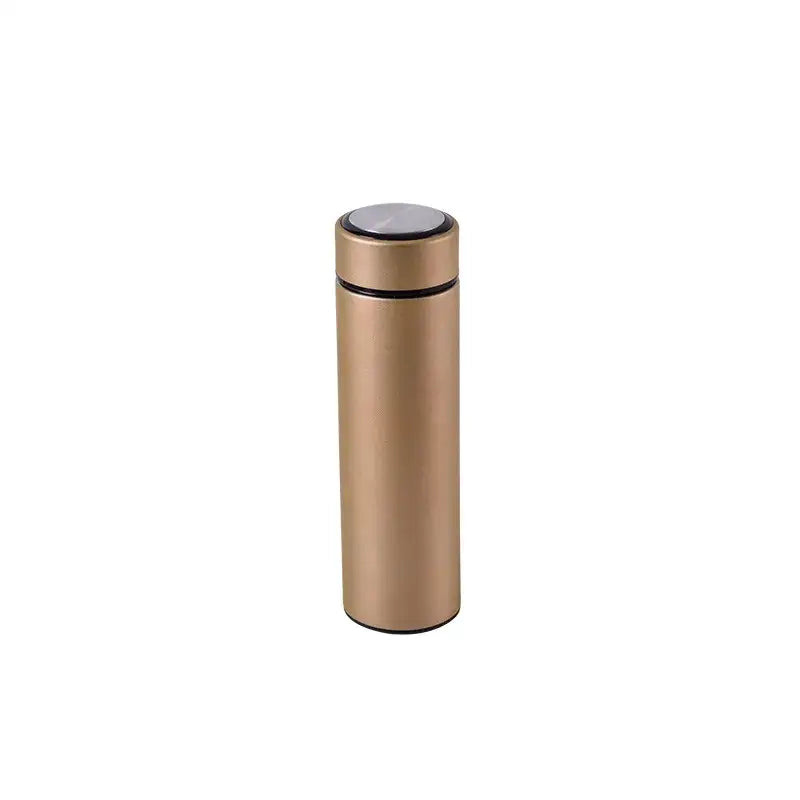 Stainless Steel Thermos Bottle (500ML) - Gold / 500ml carton - SS