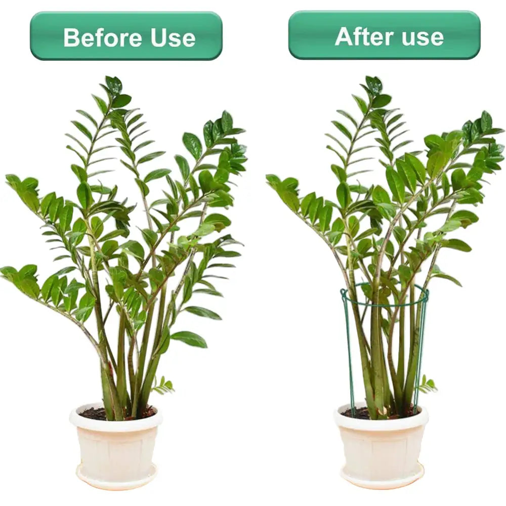 Sturdy Metal Outdoor Plant Support Stakes (2pcs) - SS