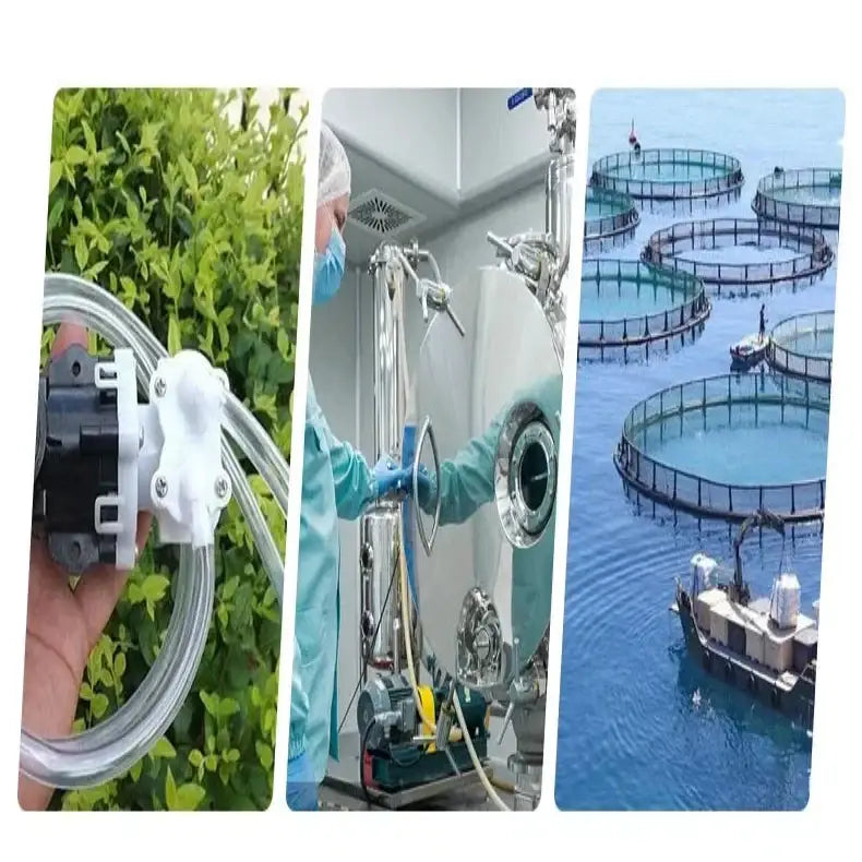 Transparent PVC Garden Hose (different sizes available) - SS