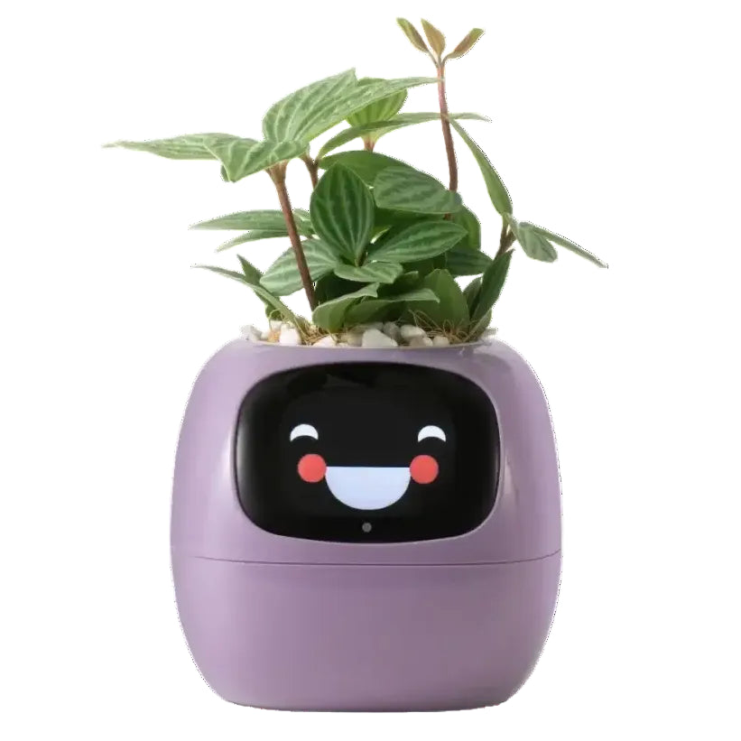 Tuya Ivy Smart Planter