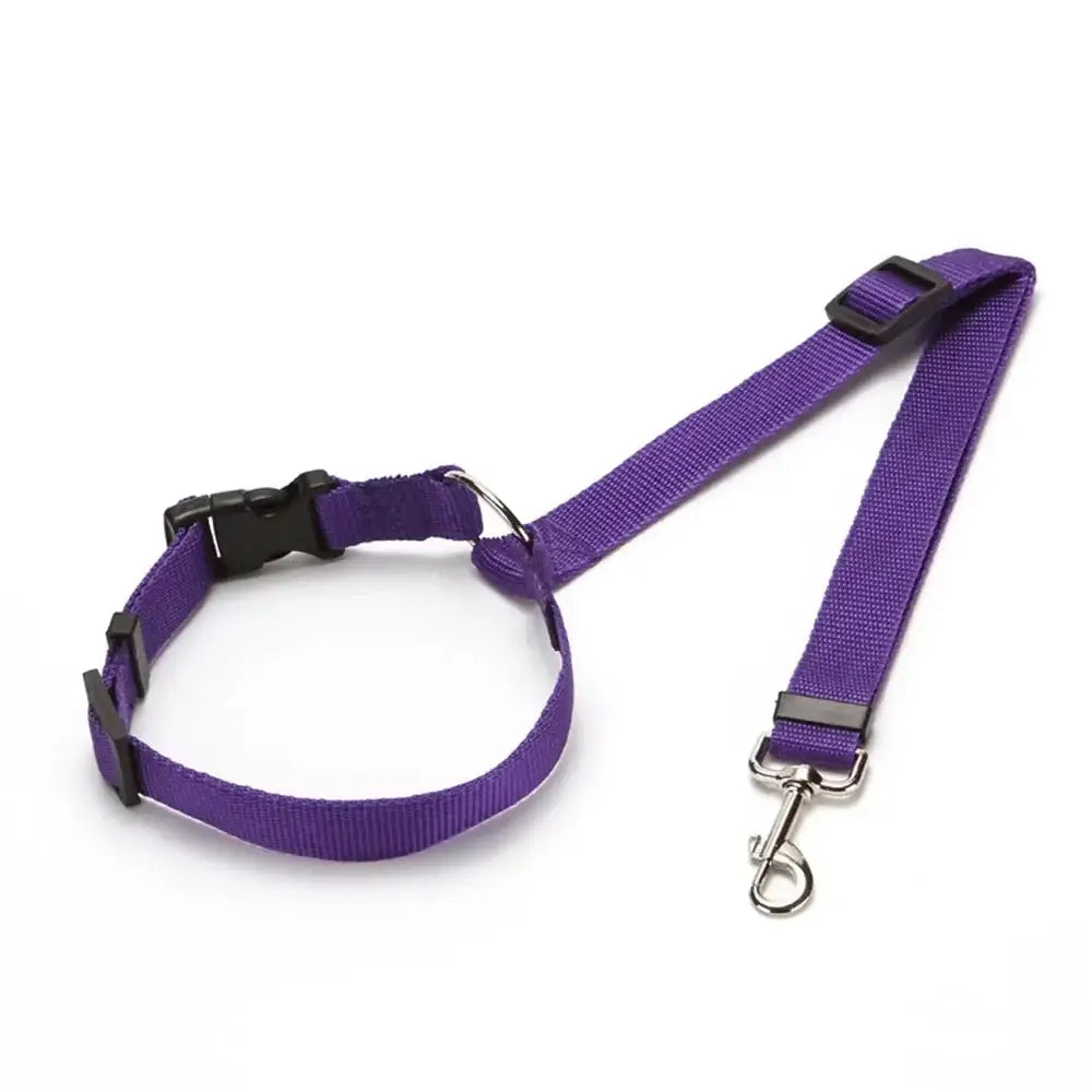 Vehcile Belt & Adjustable Nylon Leash for Dogs (7 colors available) - Puprle - SS