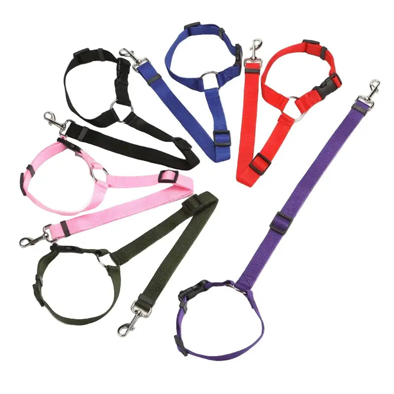 Vehcile Belt & Adjustable Nylon Leash for Dogs (7 colors available) - SS