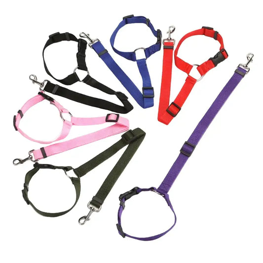 Vehcile Belt & Adjustable Nylon Leash for Dogs (7 colors available) - SS