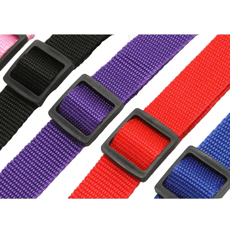 Vehcile Belt & Adjustable Nylon Leash for Dogs (7 colors available) - SS