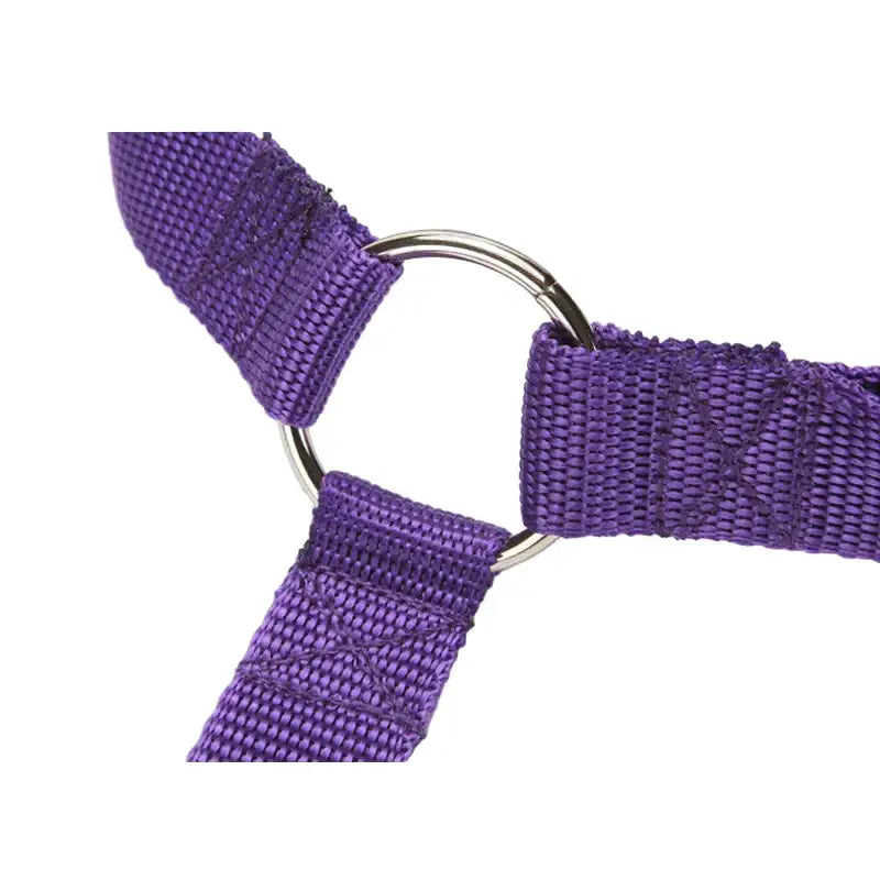 Vehcile Belt & Adjustable Nylon Leash for Dogs (7 colors available) - SS