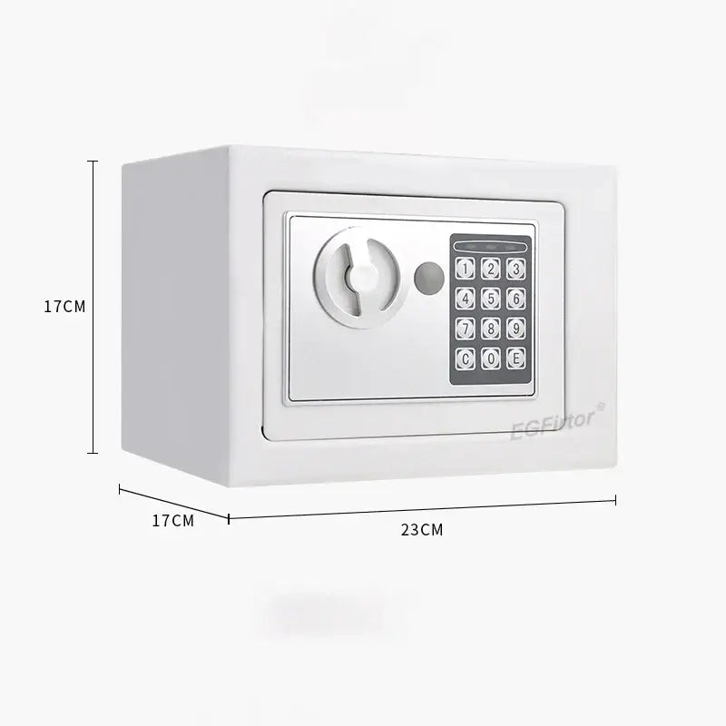 Wall-Mounted Password Safe with Alarm - White / Safety Box - SS