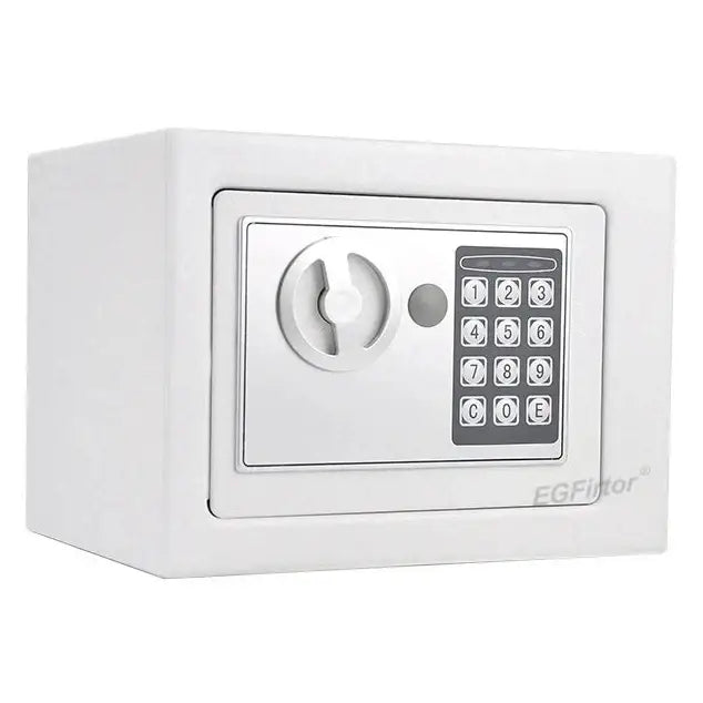 Wall-Mounted Password Safe with Alarm - White / Safety Box - SS