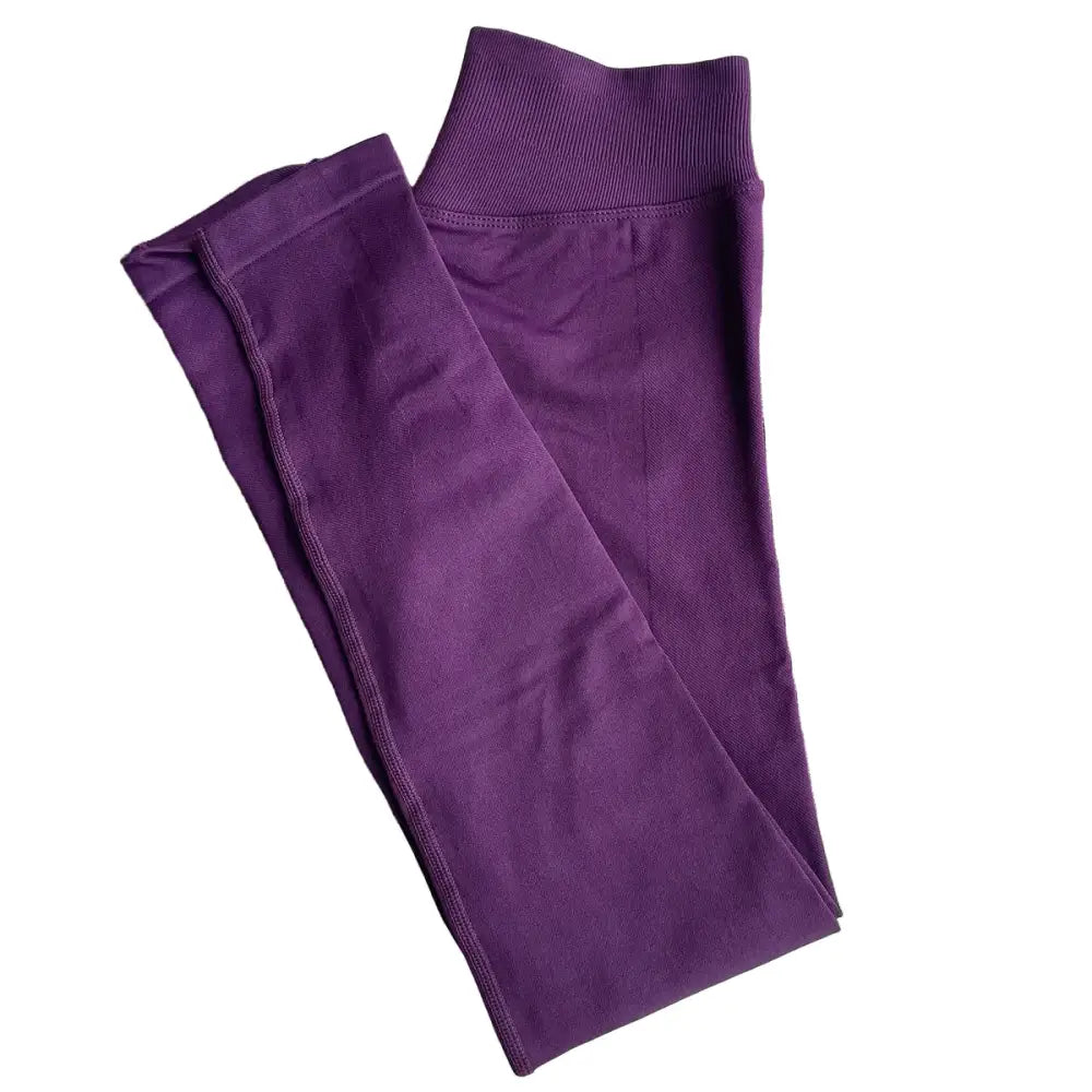 Women’s Seamless Yoga Leggings (different colours and sizes available) - Grape Purple / XS - SS