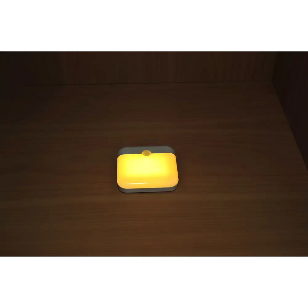 Xiamen LED Wireless Motion Sensor Light